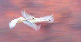 Flying Swans Poster och Canvastavla