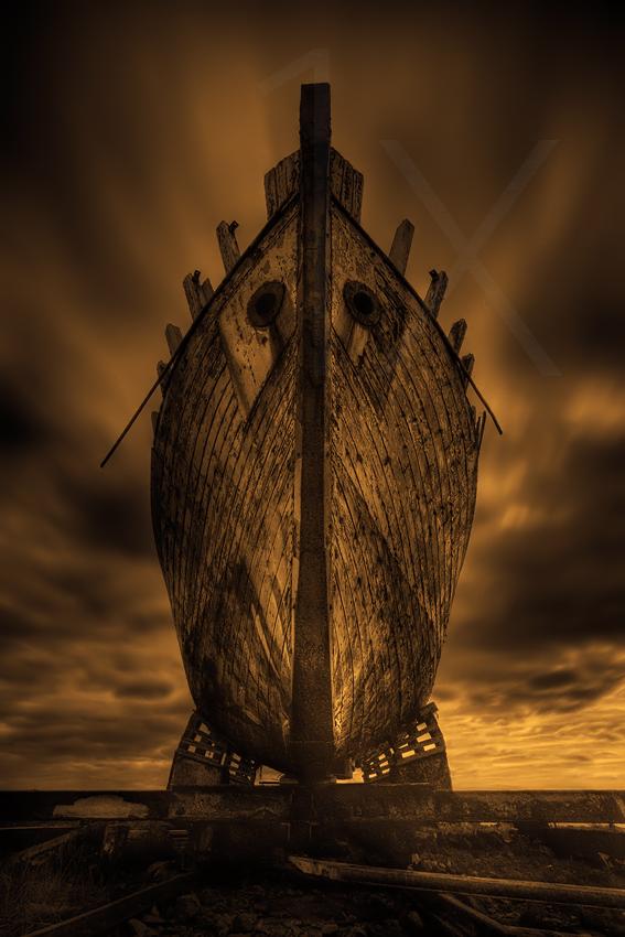 arche noah Poster och Canvastavla