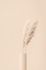 Pampas Grass Beige 12 Poster och Canvastavla