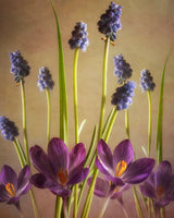 Spring Dance Poster och Canvastavla