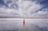 Lady in Red Poster och Canvastavla
