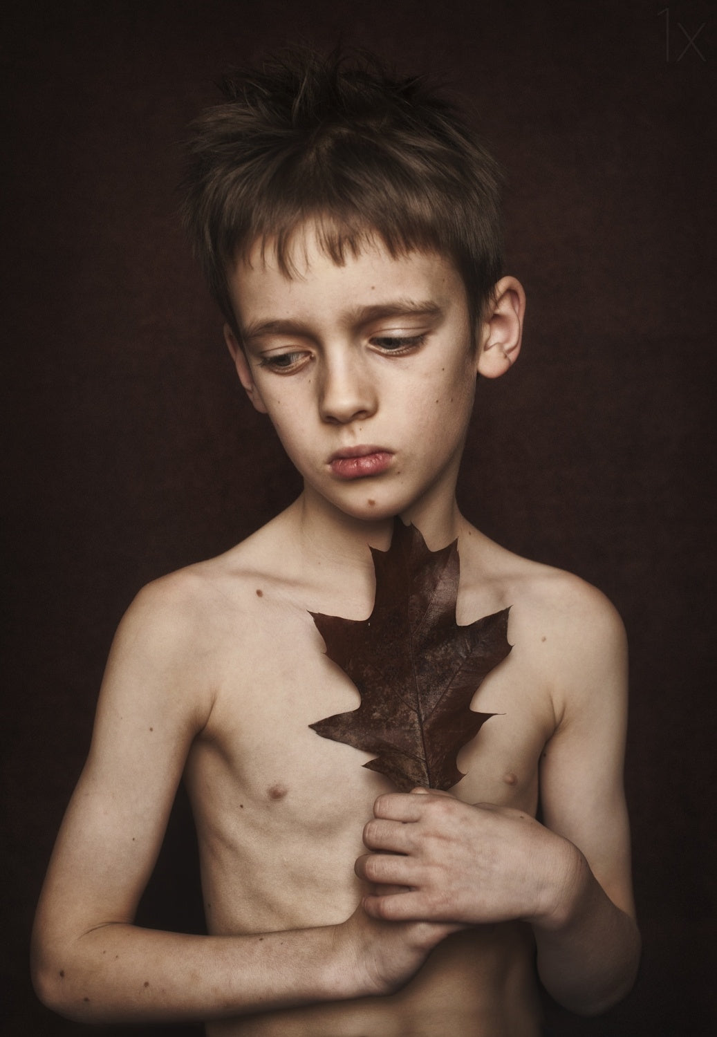 boy with a leaf Poster och Canvastavla