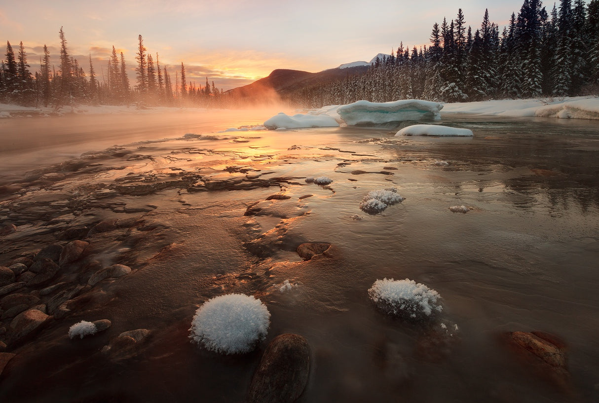 Misty Winter Morning Poster och Canvastavla