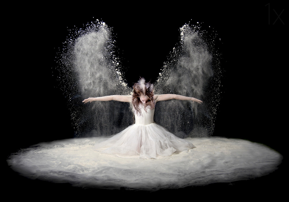 Dust Wings Poster och Canvastavla