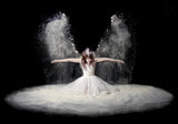 Dust Wings Poster och Canvastavla