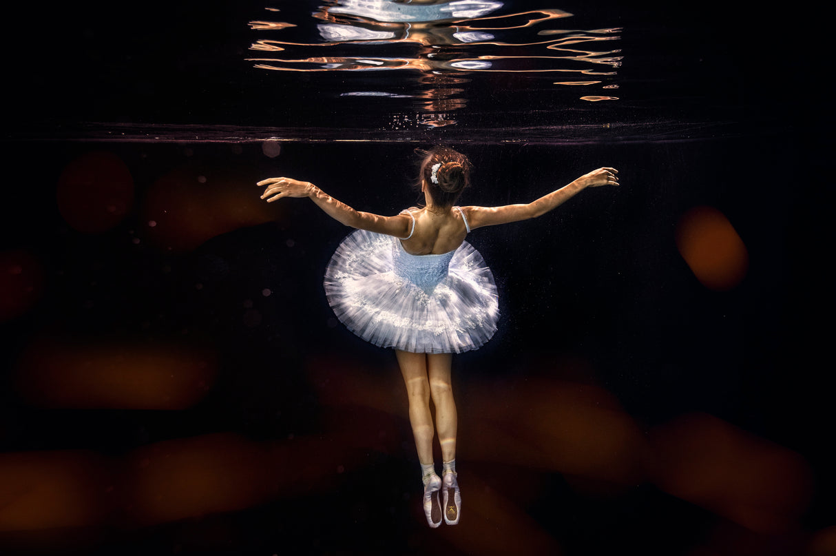 Underwater white ballet Poster och Canvastavla