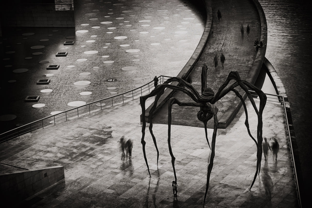 Mama Spider Poster och Canvastavla