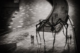 Mama Spider Poster och Canvastavla