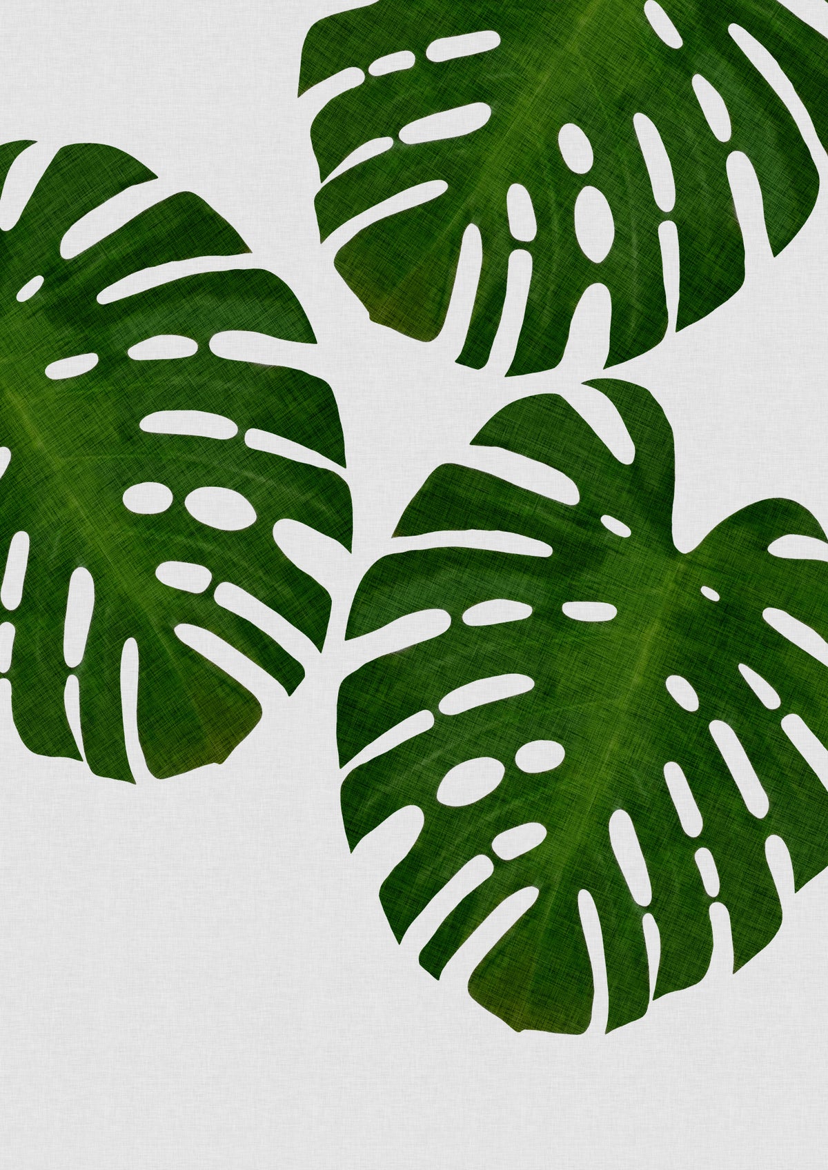Monstera Leaf III Poster och Canvastavla