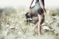 Only know you love her when you let her go... Poster och Canvastavla