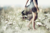 Only know you love her when you let her go... Poster och Canvastavla