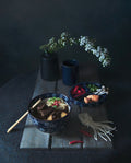 Beef Noodle Soup Poster och Canvastavla