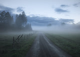 Moody road Poster och Canvastavla