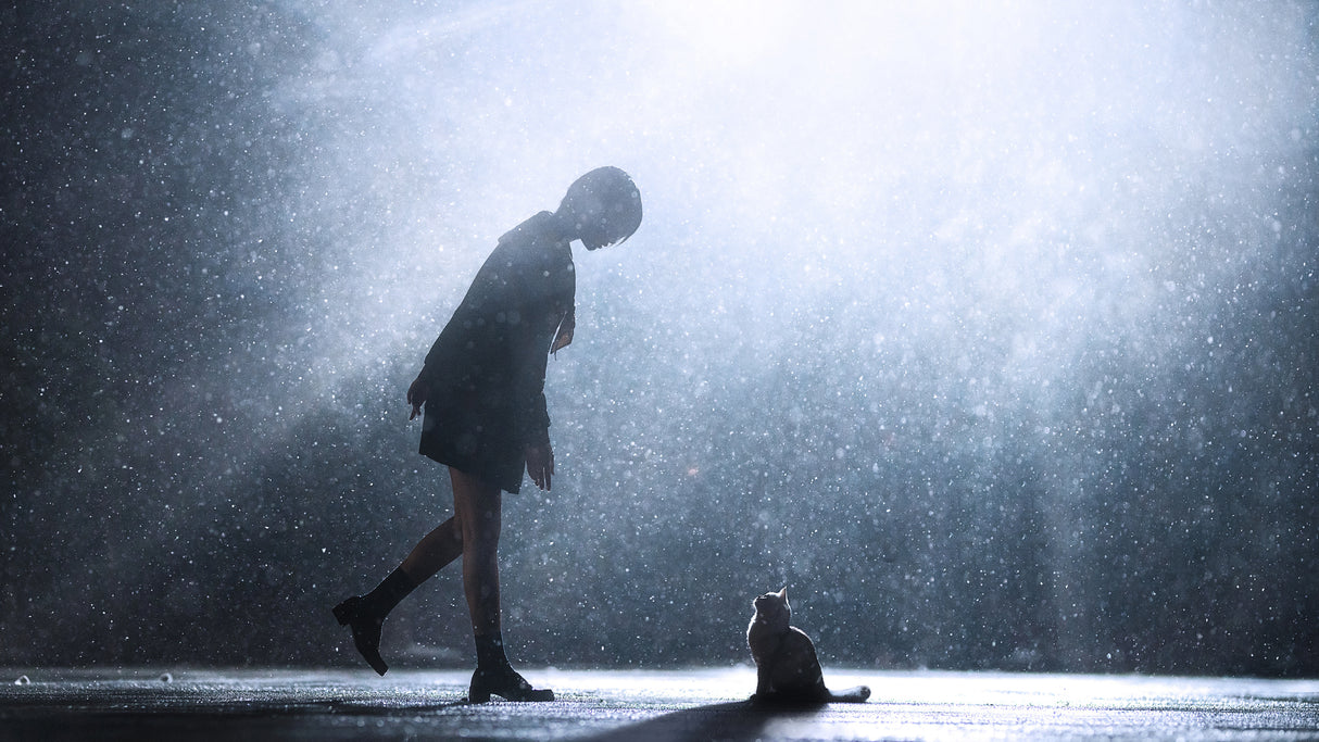 The First Snowfall Poster och Canvastavla