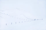 #3 Sketched by the wind: Fences Poster och Canvastavla