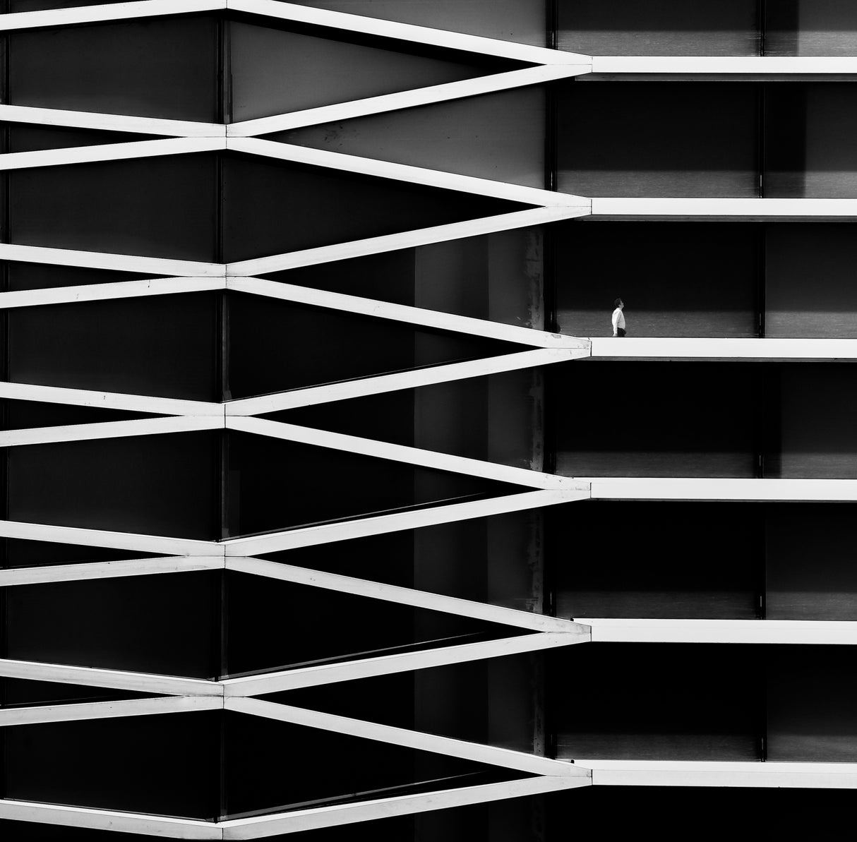 parallel lines Poster och Canvastavla