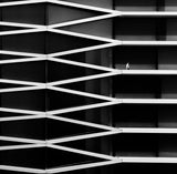 parallel lines Poster och Canvastavla
