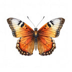 Butterfly 48 Poster och Canvastavla