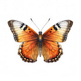 Butterfly 48 Poster och Canvastavla