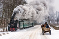 Winter in Bucovina Poster och Canvastavla