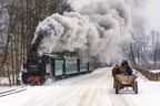Winter in Bucovina Poster och Canvastavla