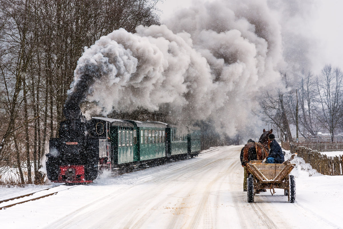 Winter in Bucovina Poster och Canvastavla