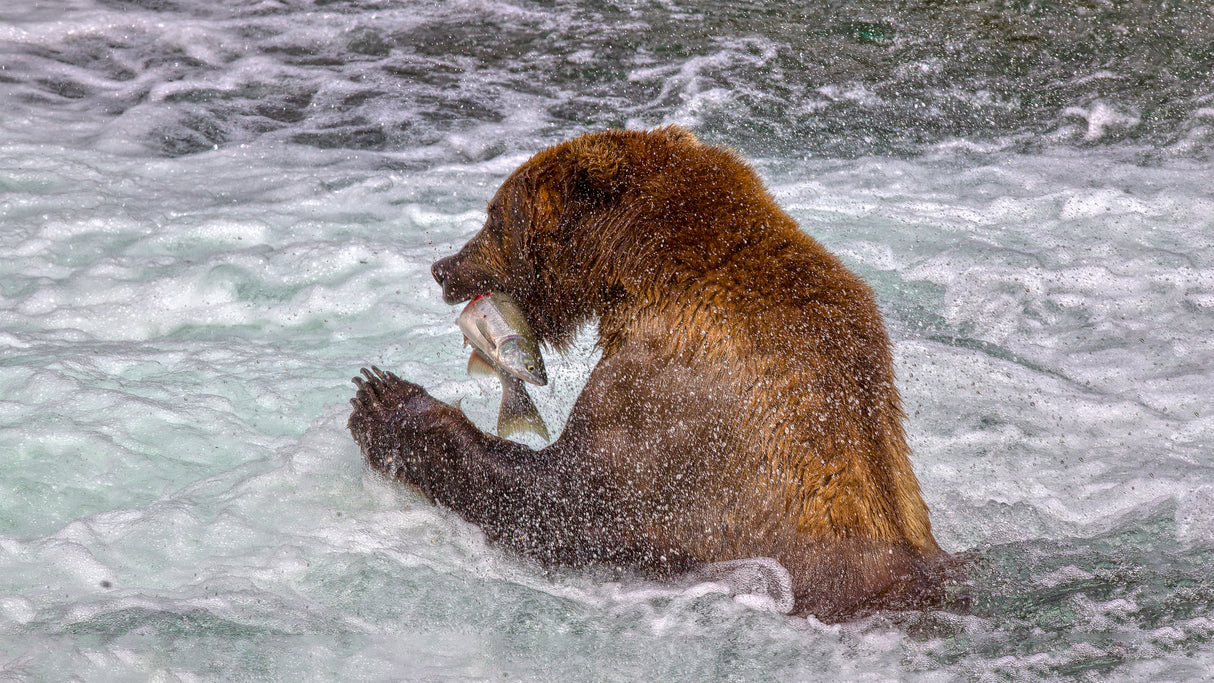 A Good day fishing Poster och Canvastavla