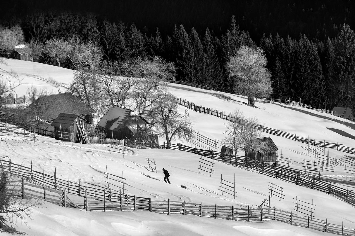 Life in Black and White ! Poster och Canvastavla