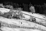 Life in Black and White ! Poster och Canvastavla