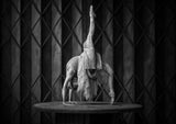 The Urbex Stage Poster och Canvastavla