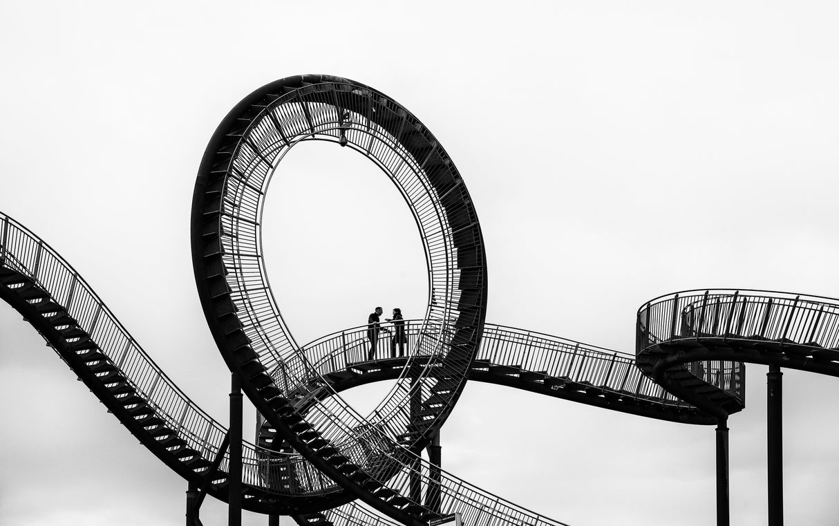 tiger and turtle Poster och Canvastavla