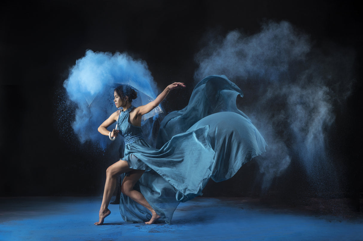 The Lady in Blue Poster och Canvastavla