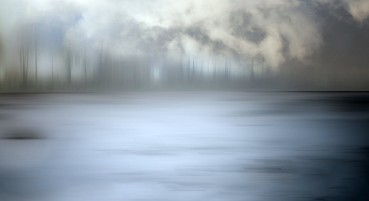 Foggy forest Poster och Canvastavla
