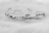 Foggy Morning in Los Angeles Poster och Canvastavla