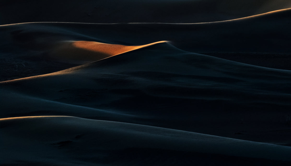 Blades of light Poster och Canvastavla