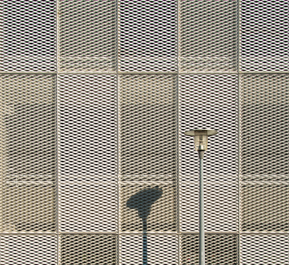 The lamp and its shadow Poster och Canvastavla