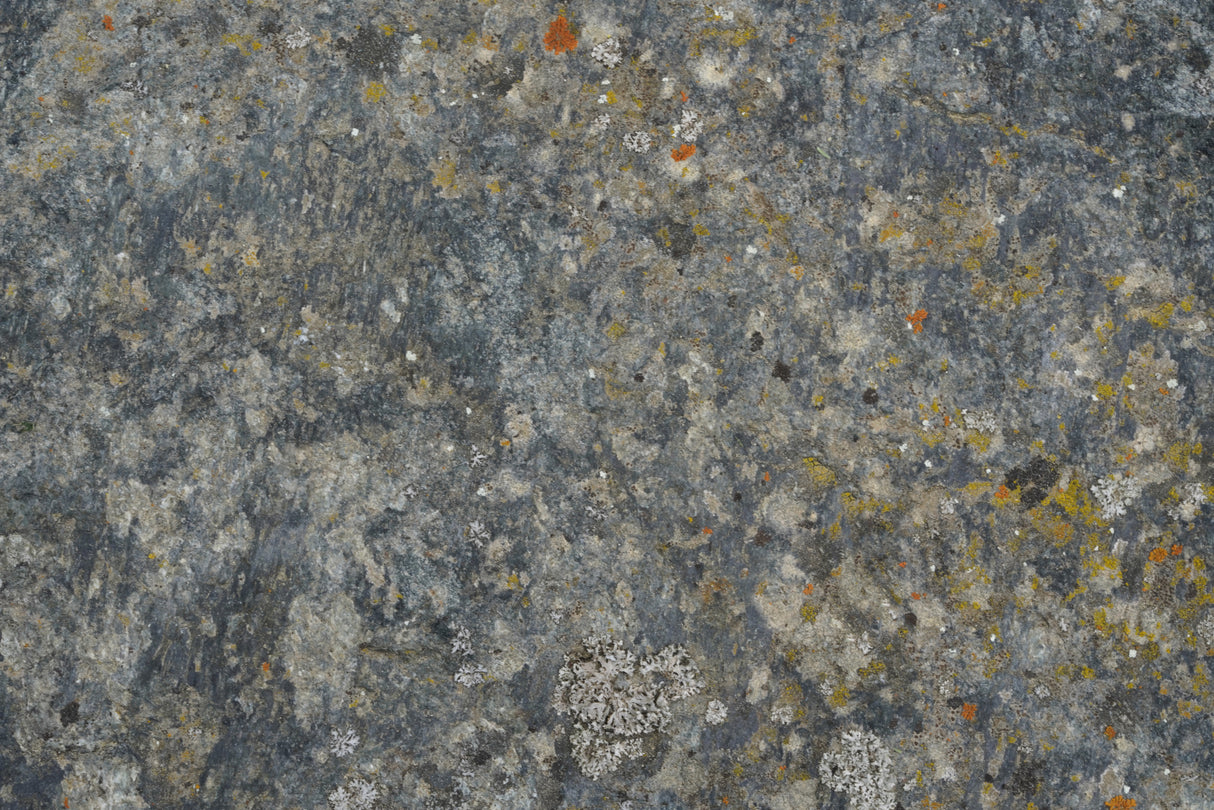 Tex Surface S4 Poster och Canvastavla