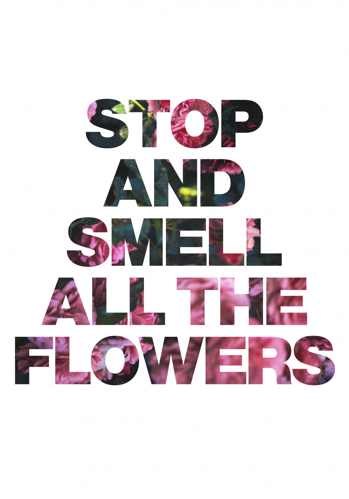 Stop and Smell All the Flowers Poster och Canvastavla
