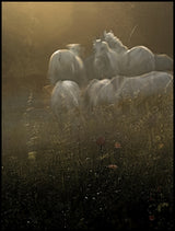 Theirs garden Poster och Canvastavla