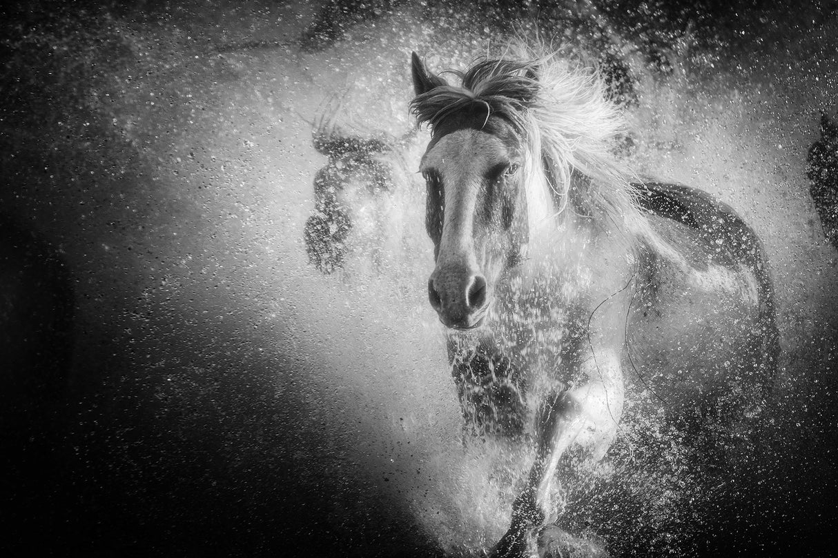 The water splashed in all directions. Poster och Canvastavla