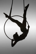 The Aerialist Poster och Canvastavla