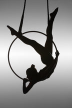 The Aerialist Poster och Canvastavla