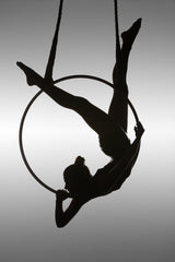 The Aerialist Poster och Canvastavla