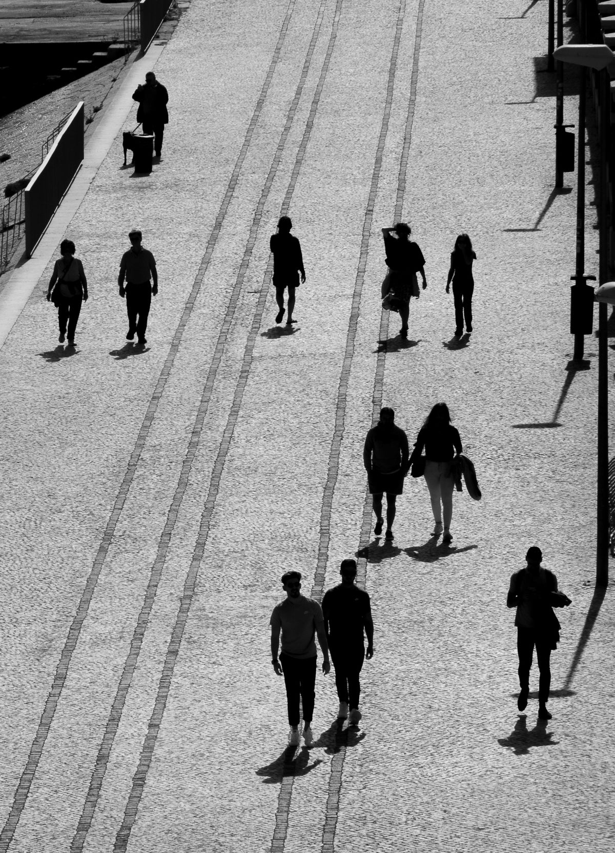 The Walk Poster och Canvastavla
