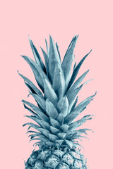 Pineapple Pink 06 Poster och Canvastavla
