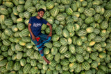 Sleep over the watermelons Poster och Canvastavla