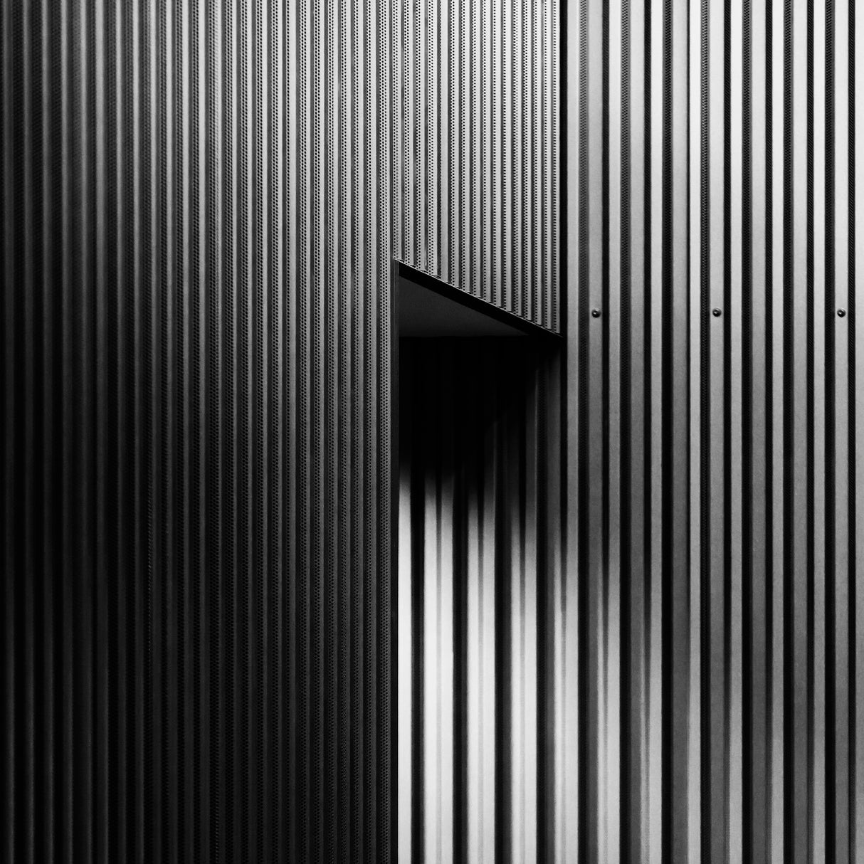 Hidden light Poster och Canvastavla
