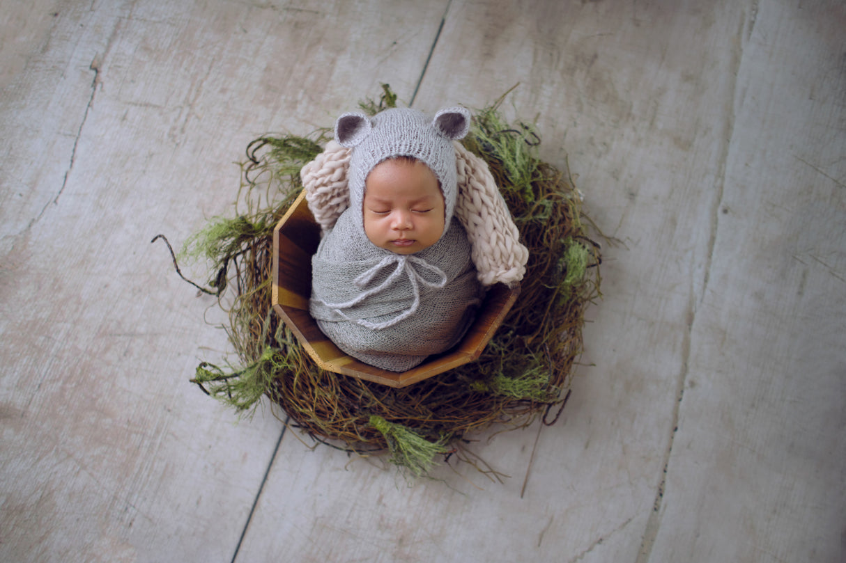 Baby's nest Poster och Canvastavla