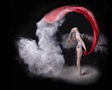 Powder Mist Poster och Canvastavla