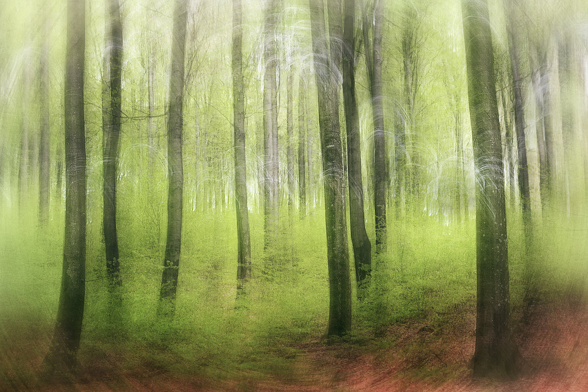 Spring Impression Poster och Canvastavla